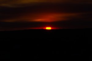 20220419Sunset-84.jpg